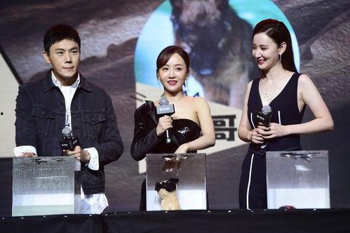 娱乐圈吧吃瓜爆料  第3张